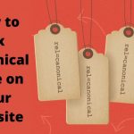 How To Fix Canonical Issues In A Website: All You Need To Know