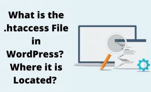 Read more about the article Comprehensive Guide on the .htaccess File in WordPress