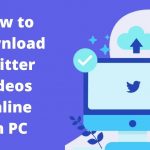 How to Download Twitter Videos Online?