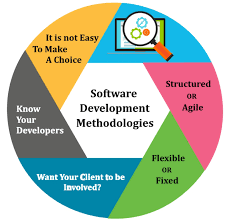 Choice of Software Developer