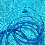 Everything You Need to Know on How to Clean a Green Swimming Pool