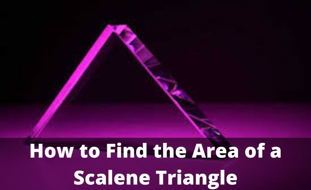 You are currently viewing How to Find the Area of Isosceles and Scalene Triangle?