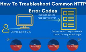Read more about the article How To Troubleshoot Common HTTP Error Codes?: The Flawless Way