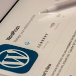 What Should We Do After Installing WordPress?