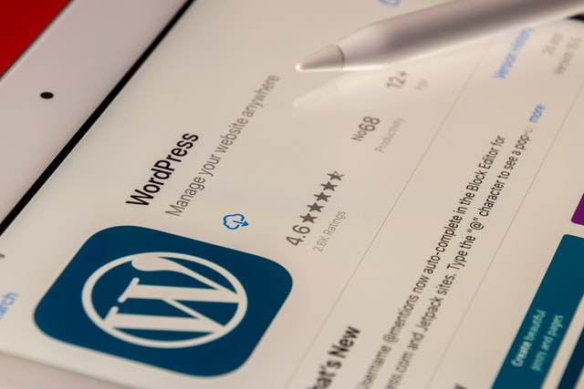 Read more about the article What Should We Do After Installing WordPress?