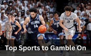 Read more about the article Top Sports to Gamble On