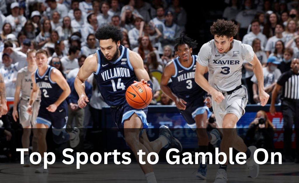 You are currently viewing Top Sports to Gamble On